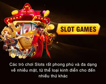 Cá cược thể thao trực tuyến Siglebet