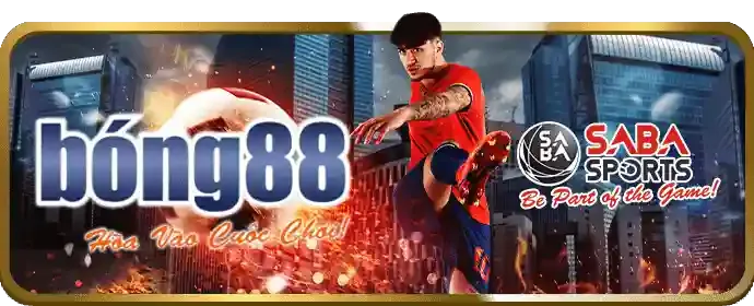 Cá cược thể thao với các trận đấu bóng đá và bóng rổ